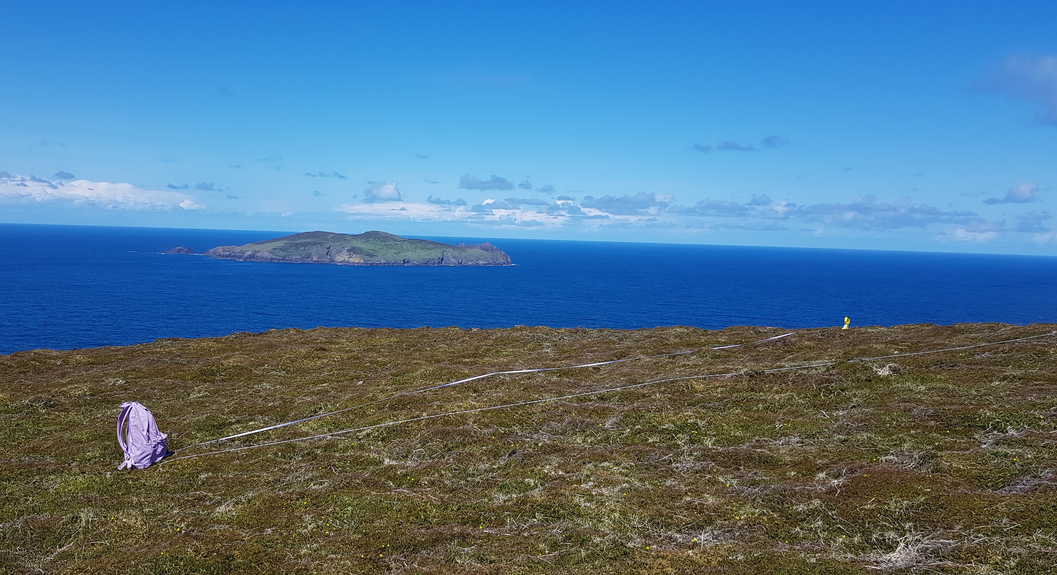 Manx Shearwater Survey_Circular Plot_Envirico